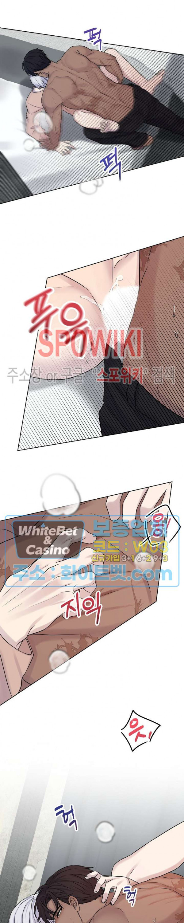 16334166162334euirt3m5df.jpg