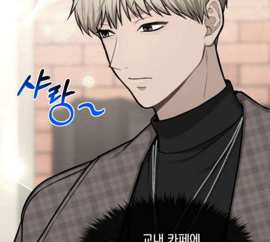16337558784312kumwm7tze1.jpeg