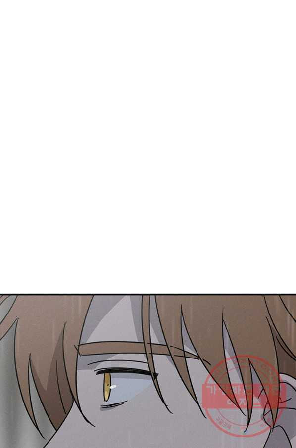 16337567558974w0j5t94313.jpeg
