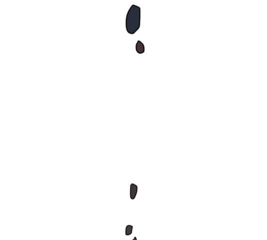 1637372613770t5nobsn531.jpeg