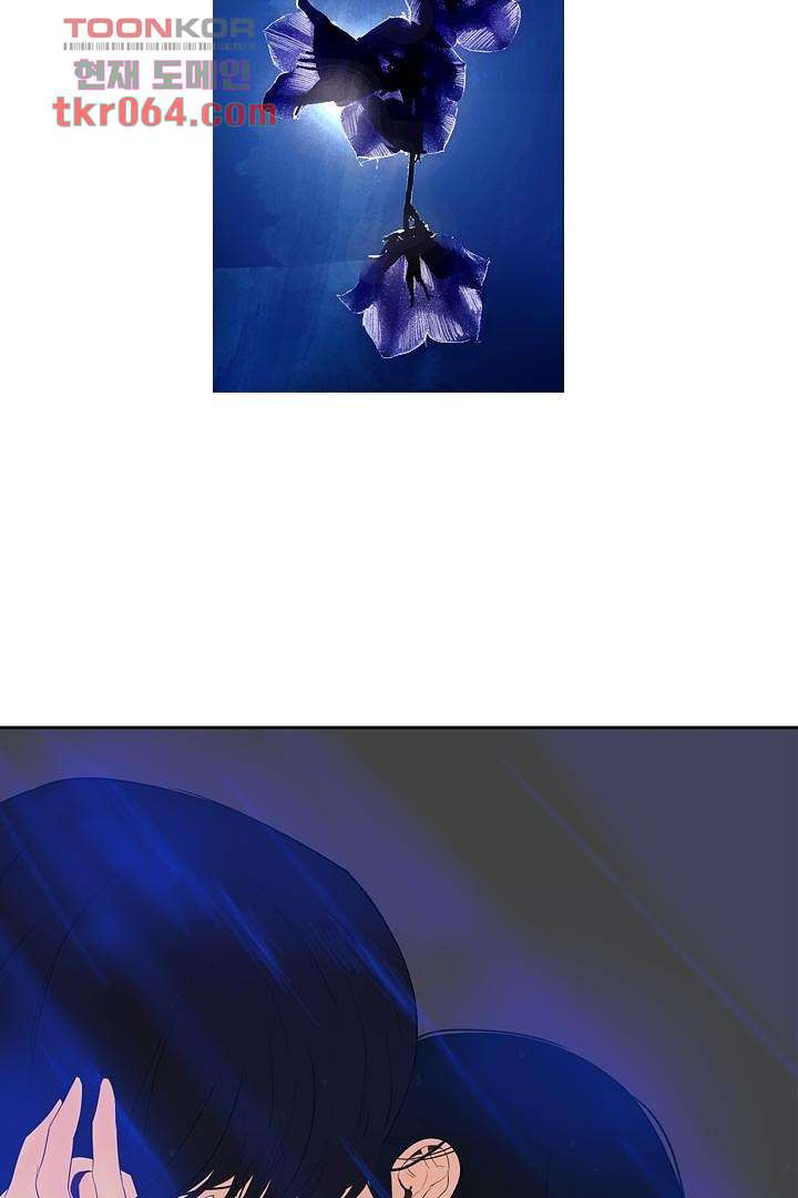 1640406741846ihx9vu1fyl.jpeg