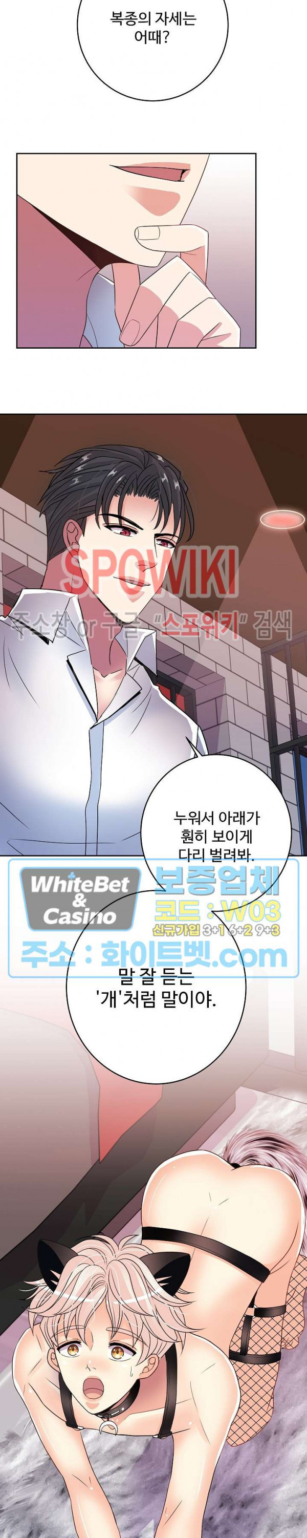 1638463238118bkk5srwgub.jpg