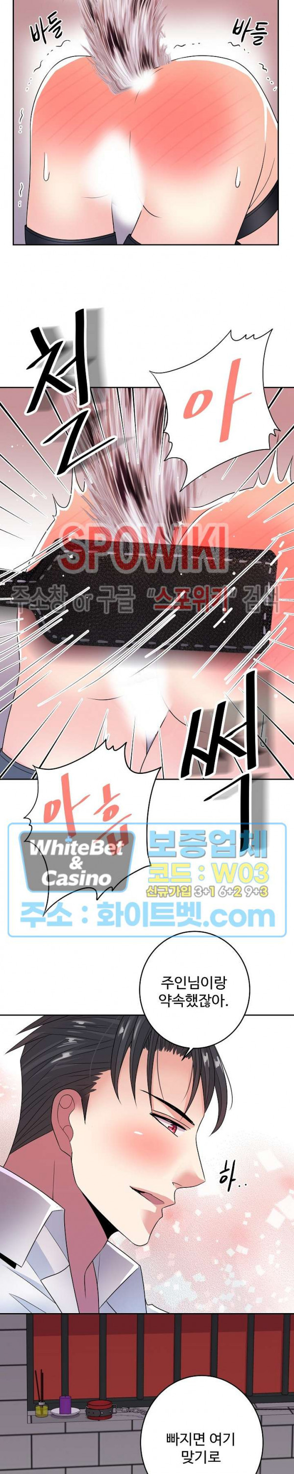 16384632389388osineuu4d.jpg