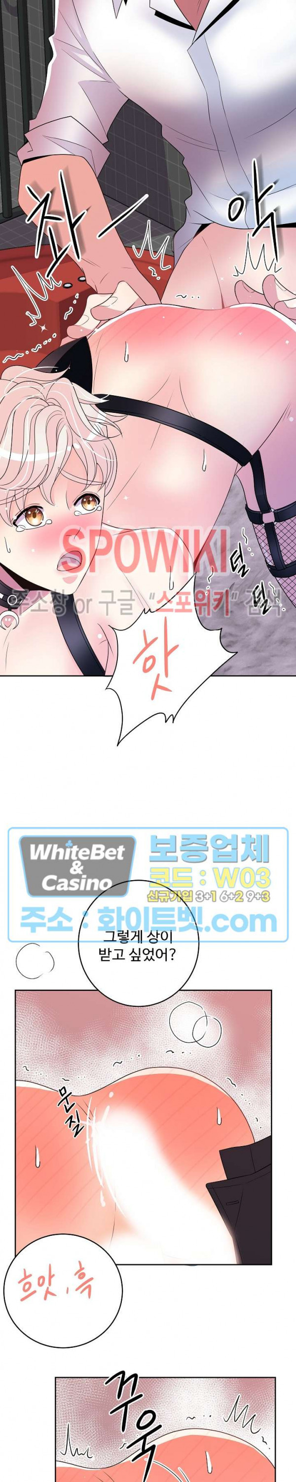 1638463239458a9ry90we31r.jpg