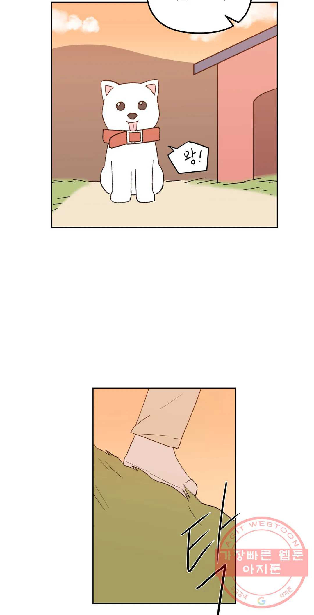 1628892827785.jpeg