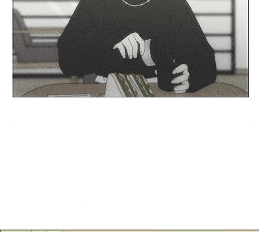 16323597105020k330p086ws.jpeg