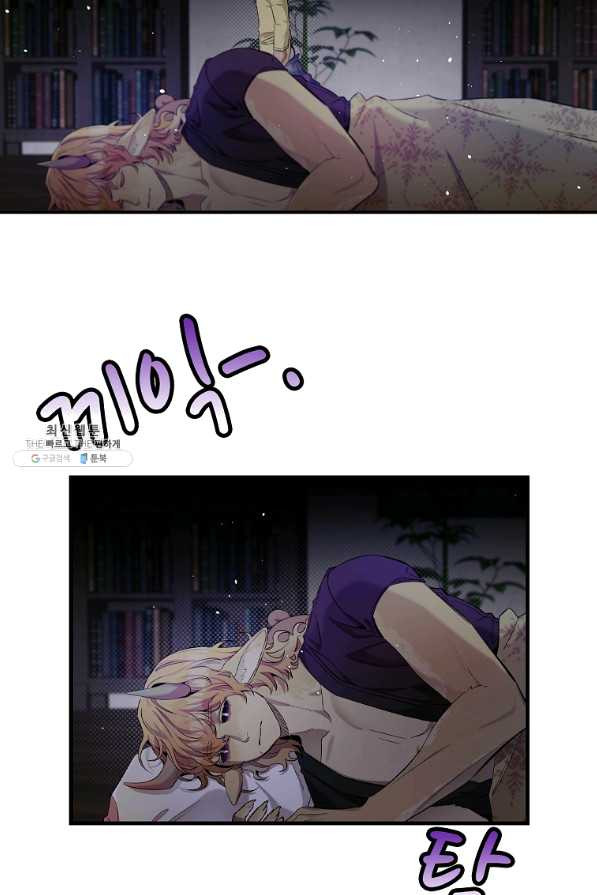 16429948167993vkxsz58hth.jpeg