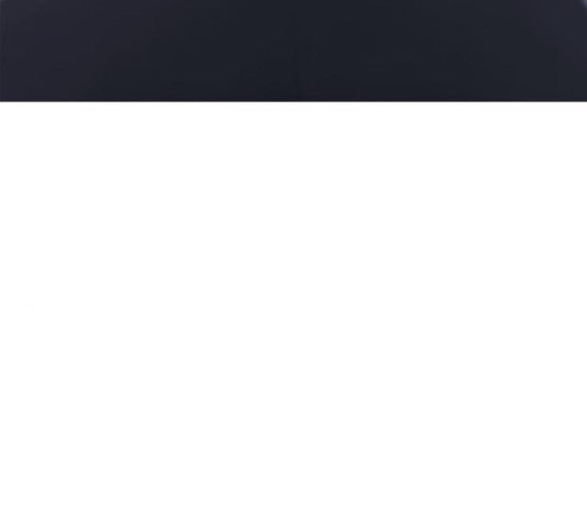 16413523539596jf6xqojanu.jpeg
