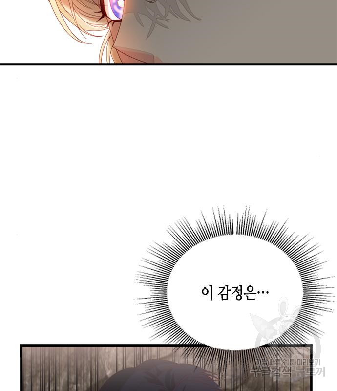 166555010083335luekuh8vj.jpeg