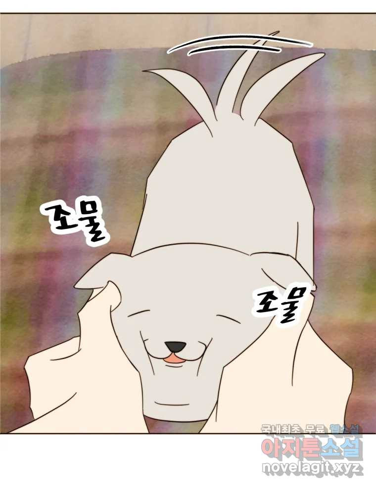 1669156300867oly4465m7h.jpeg