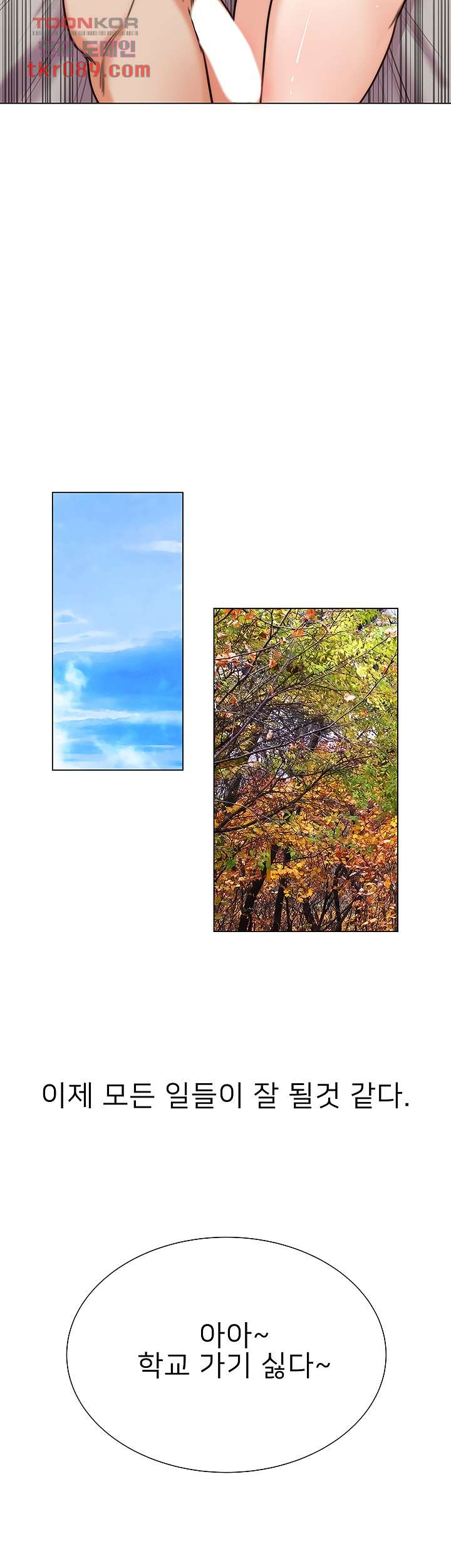 16470599649067vjn4kfc6wb.jpeg