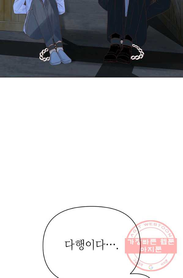 1647058712634y9cdy653tf.jpeg