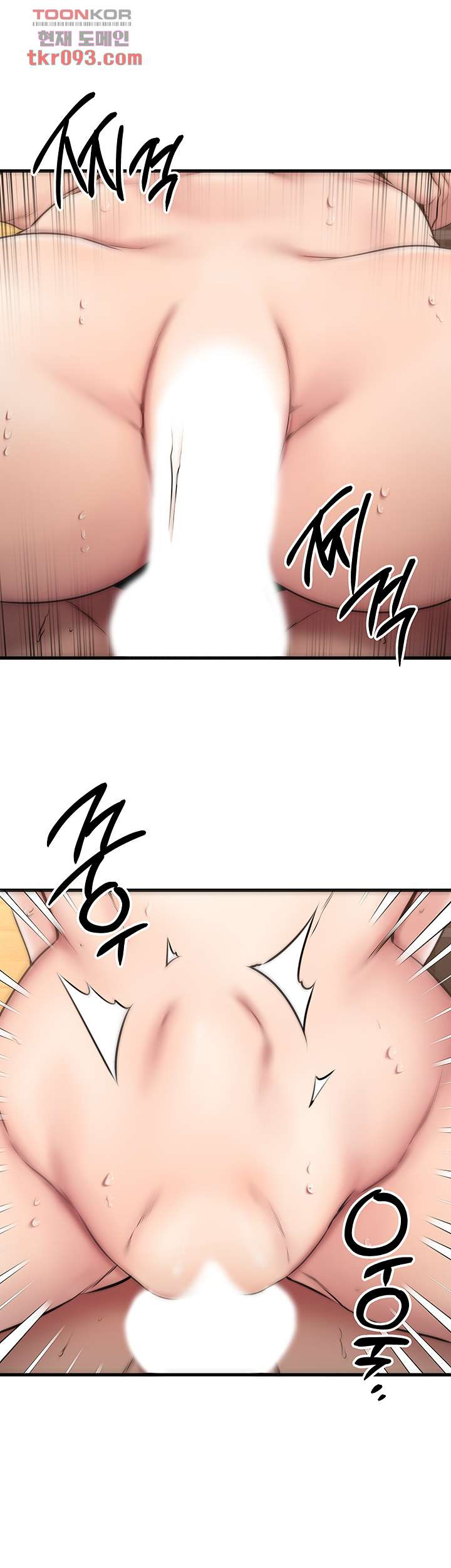 1648359509690fxmkz99bfb.jpeg