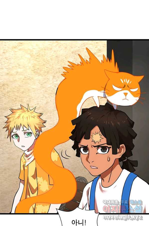 1649899437900ldf9vpmcat.jpeg