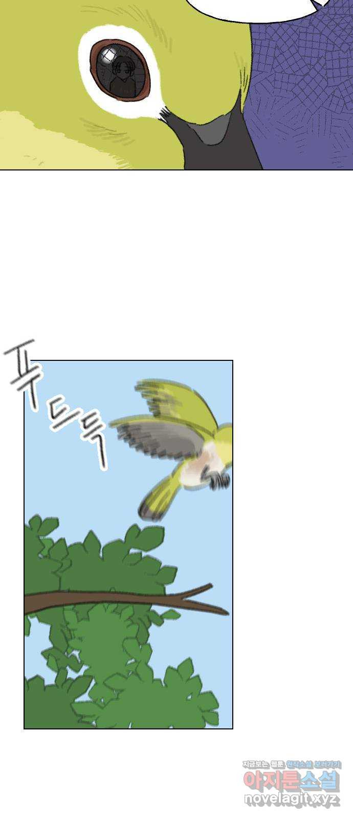 16510040479889m3b9yh779p.jpeg