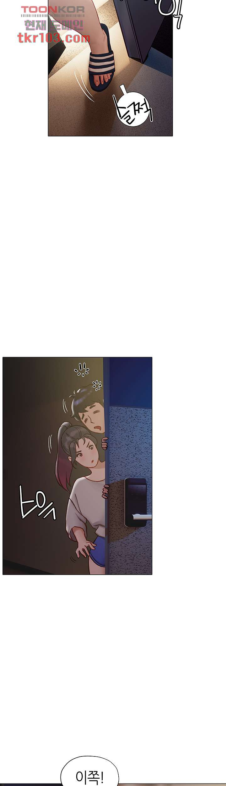 16519859658845vtpvs8644a.jpeg