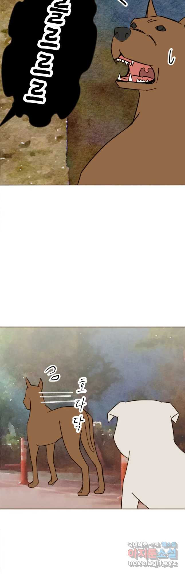 16582763730849ofsxieeaak.jpeg