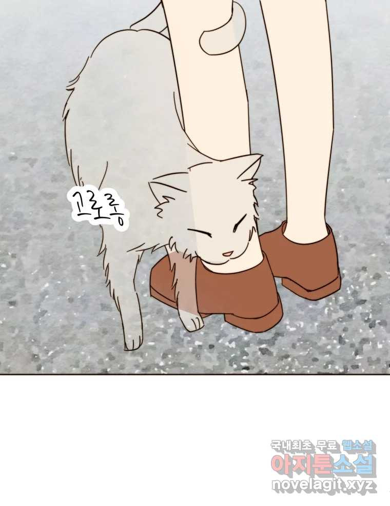 1660671481042rearlsyj52.jpeg