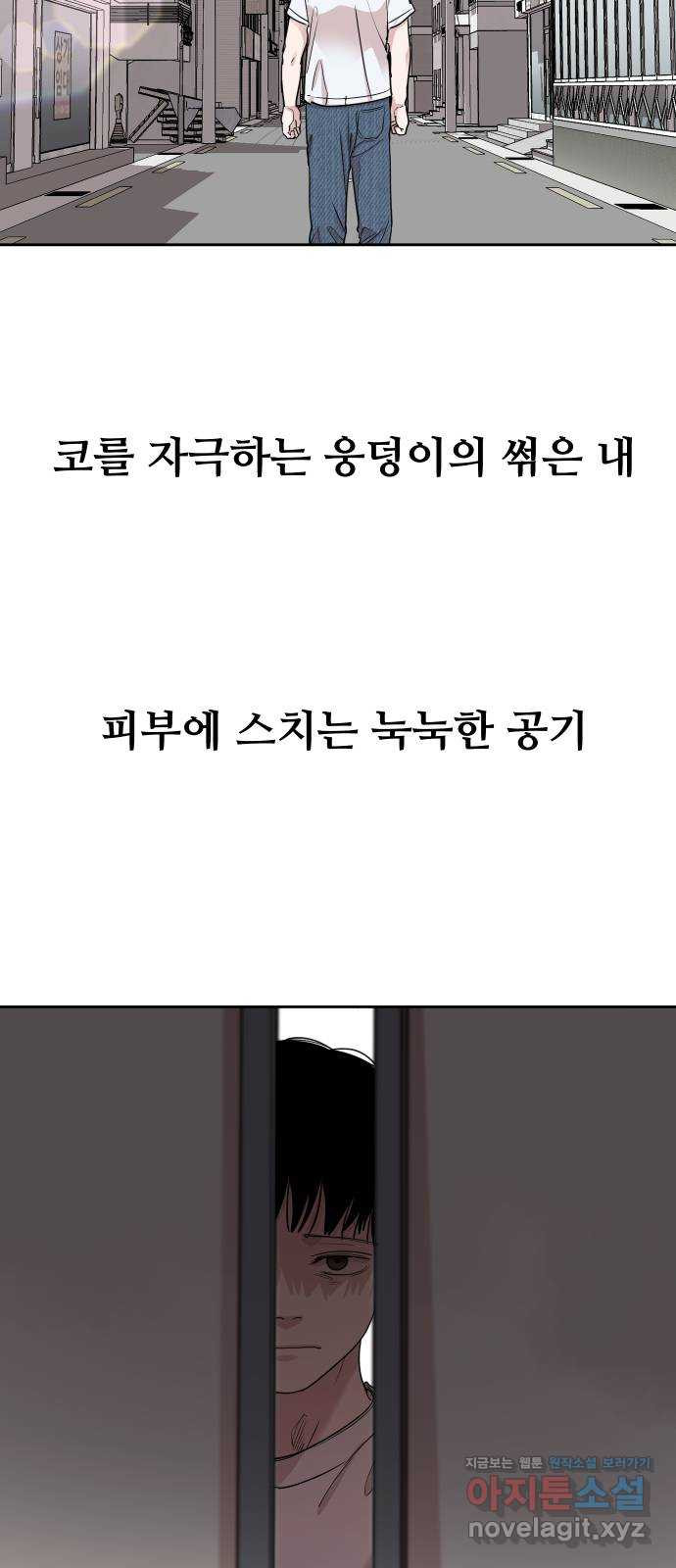 16728024533195n293m1d16j.jpeg