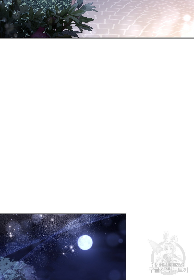 1675293432438tamaro9q8i.jpeg