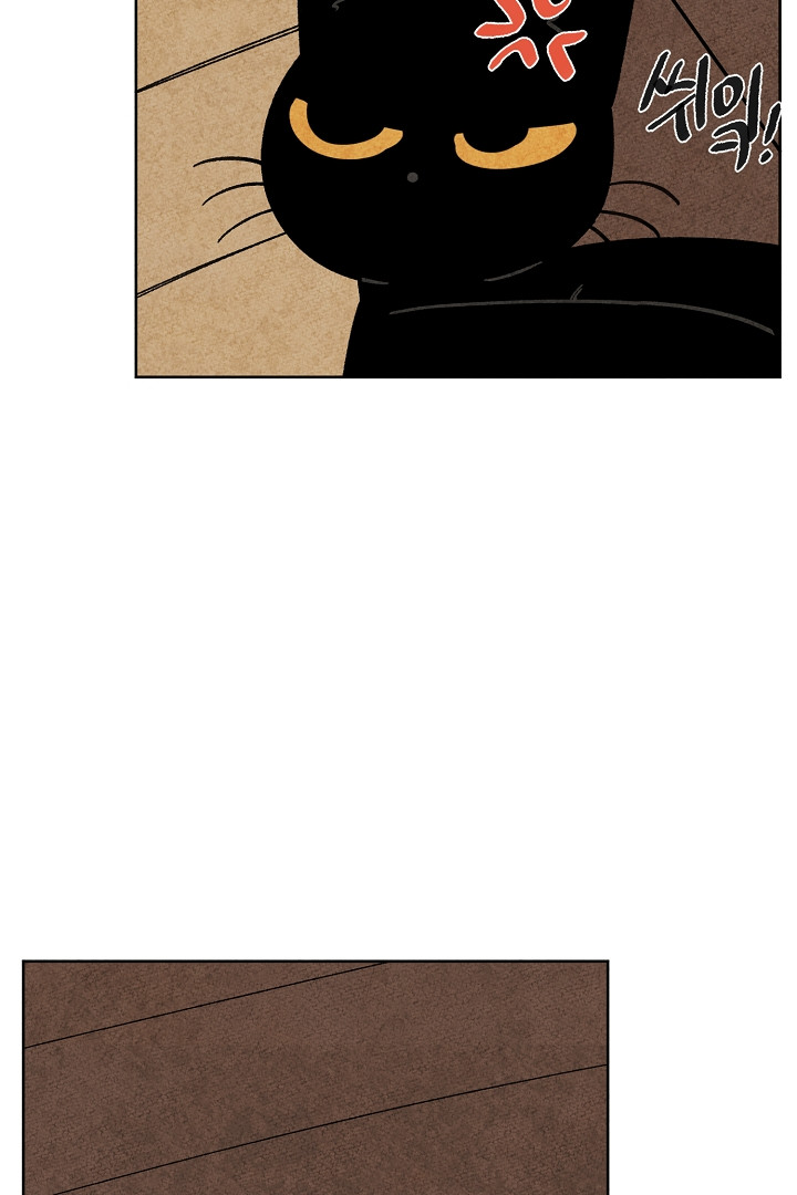 1679082087228fn4kucxbb0c.jpeg