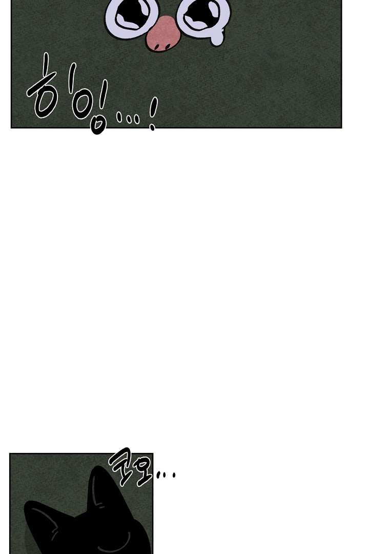 1679082100339oemyw6yk0gb.jpeg