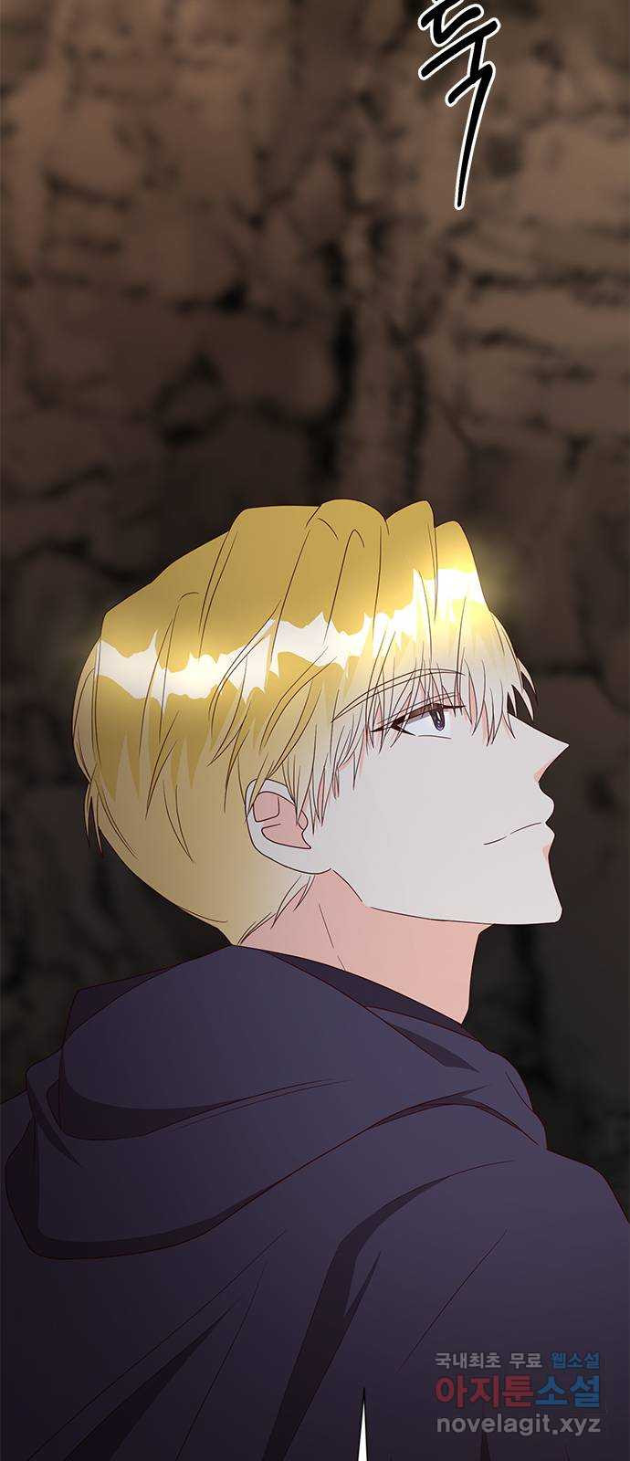 1678241880299u2jikxipvn.jpeg