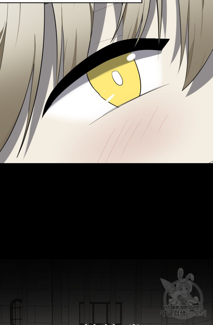 17086050237773c5s19kh8f6.jpeg