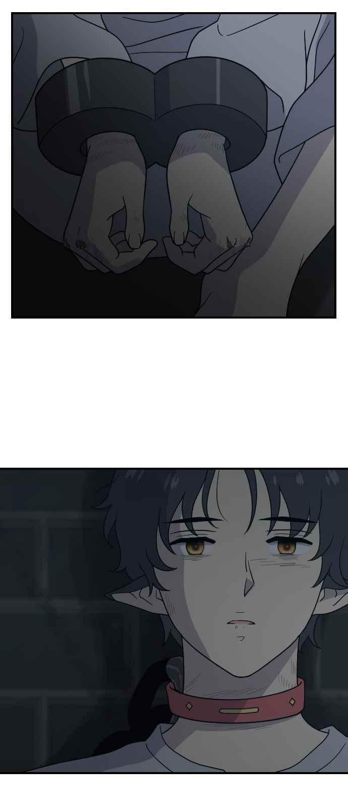 15651832437938.jpeg