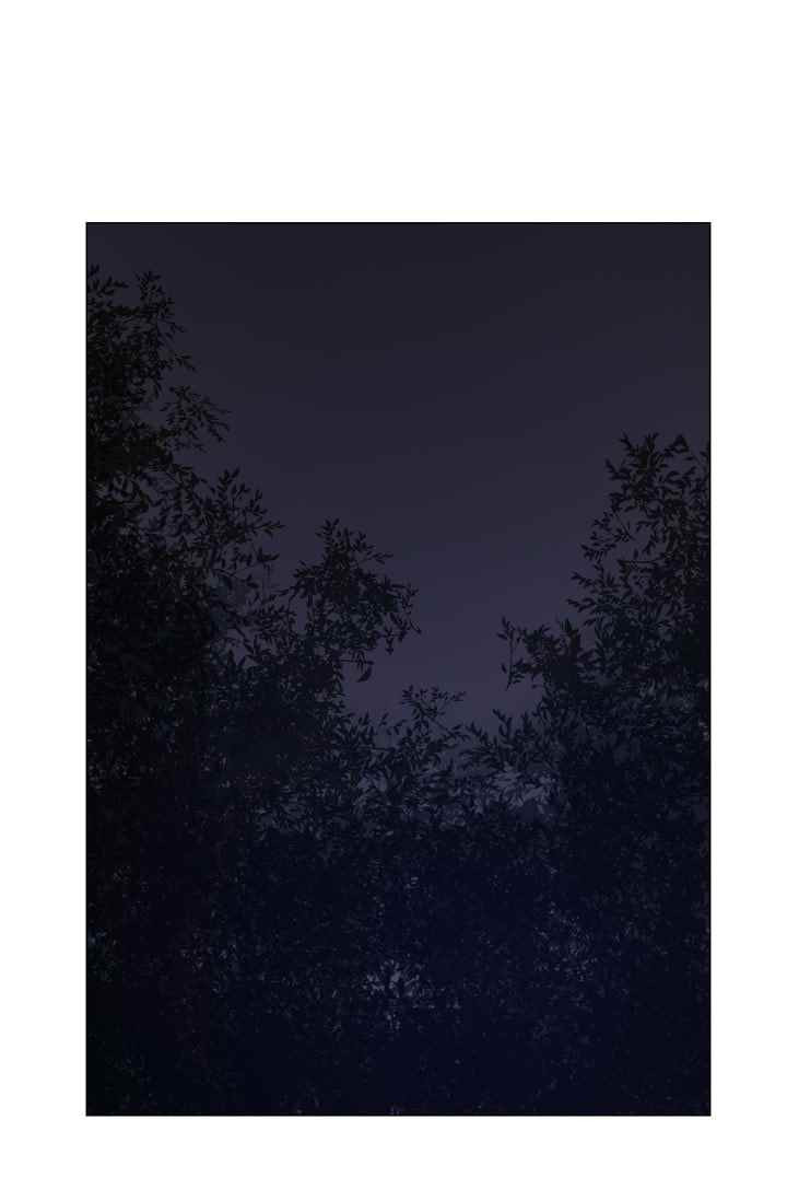 15653134632271.jpeg