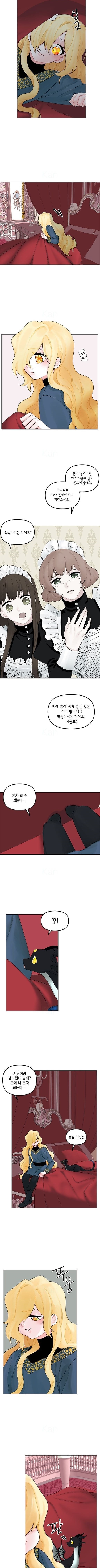 16005137627757.jpeg