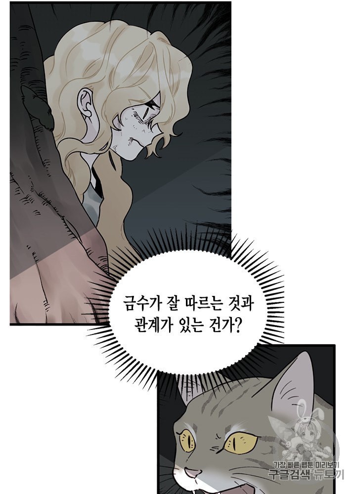 16011453236339.jpeg