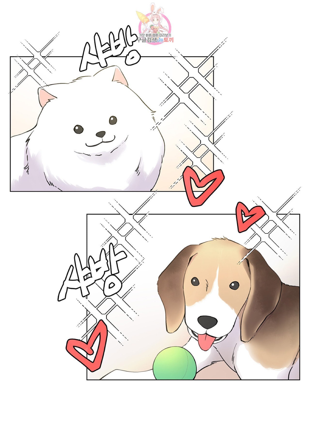 16037291615016.jpeg