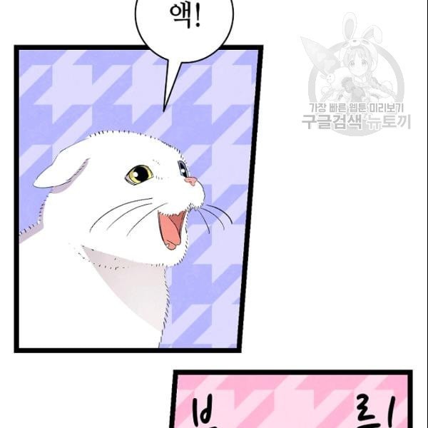 16115392233653.jpeg